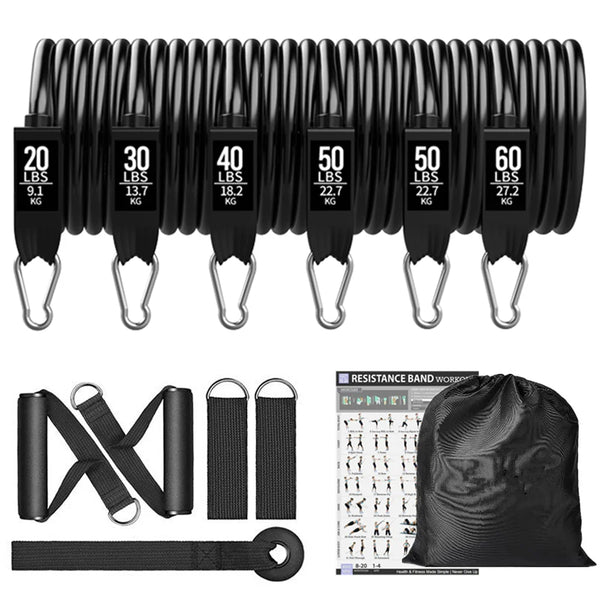 The Ultimate Gym Versatile and Highly Efficient Resistance Band Kit DAMFit